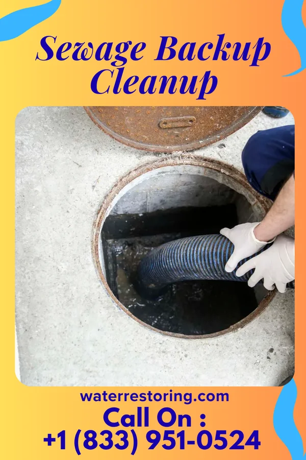 Sewage Backup Cleanup in Cottonport, LA