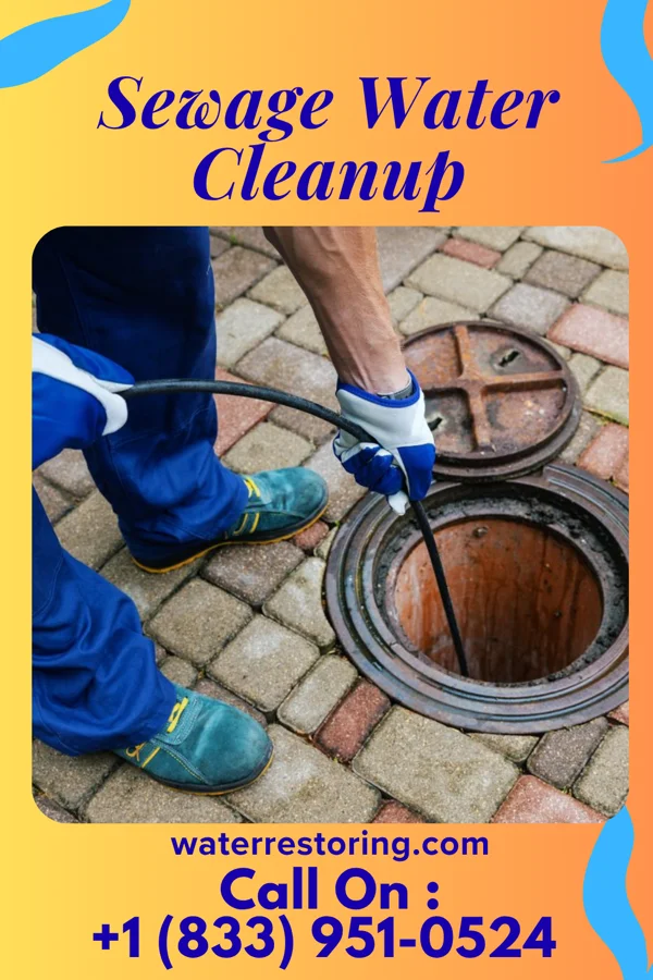Sewage Water Cleanup in Cottonport, LA