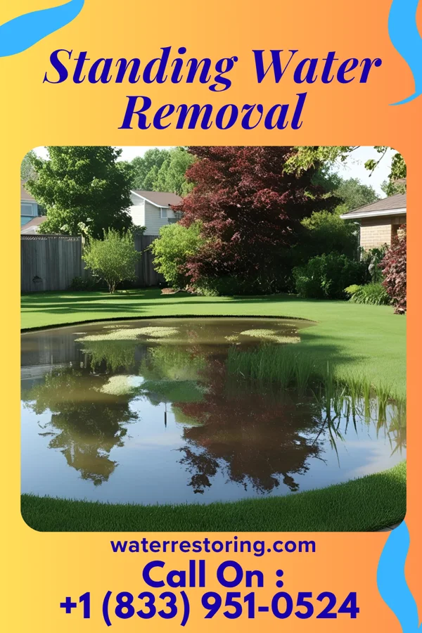 Standing Water Removal in Cottonport, LA